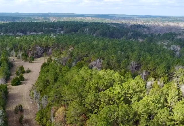 $595,000 | 235 Private Road 6912, Colmesneil, TX 75938