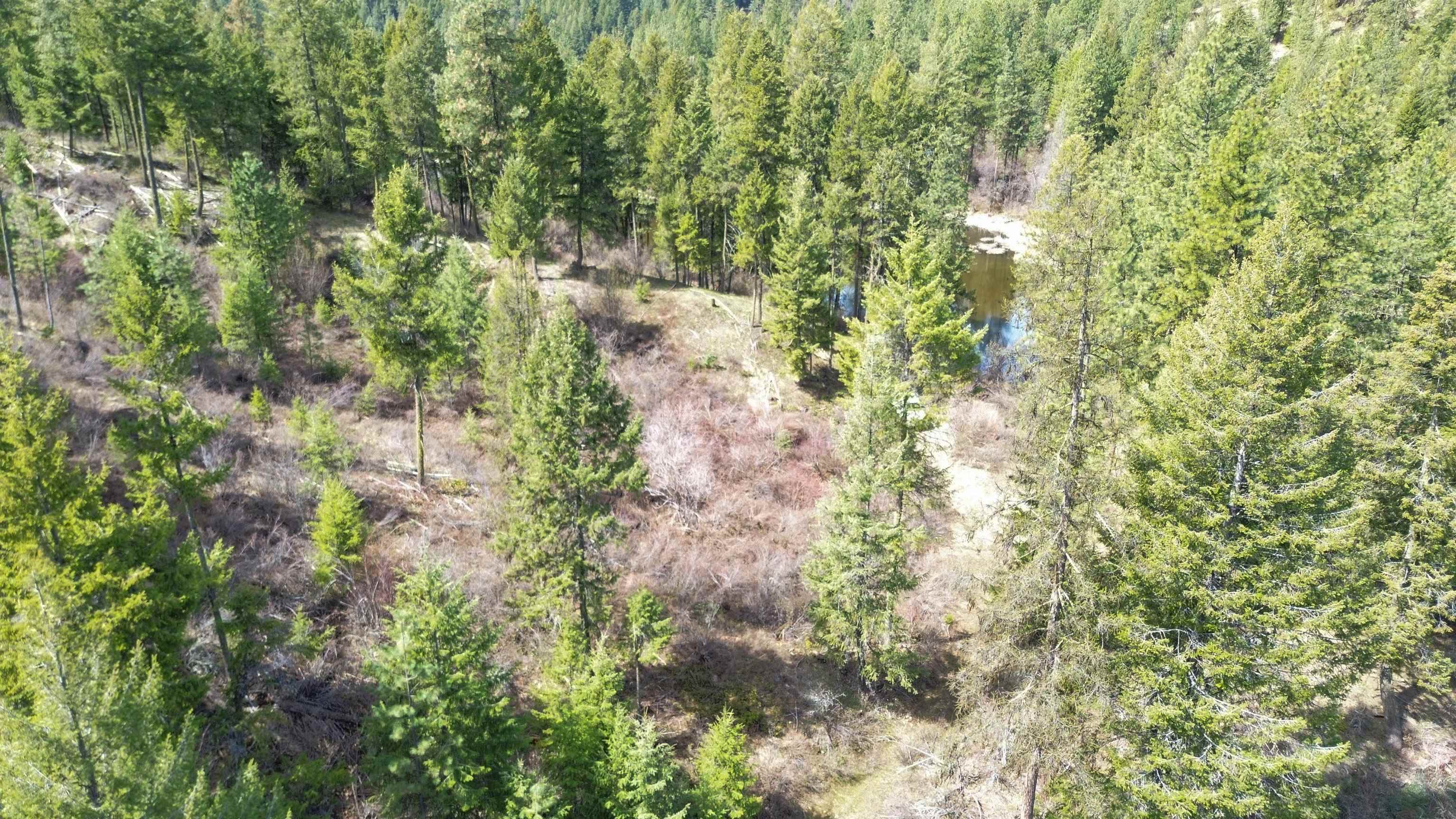 Nka Apex Road Inchelium, WA 99138 - Photo 12 of 24