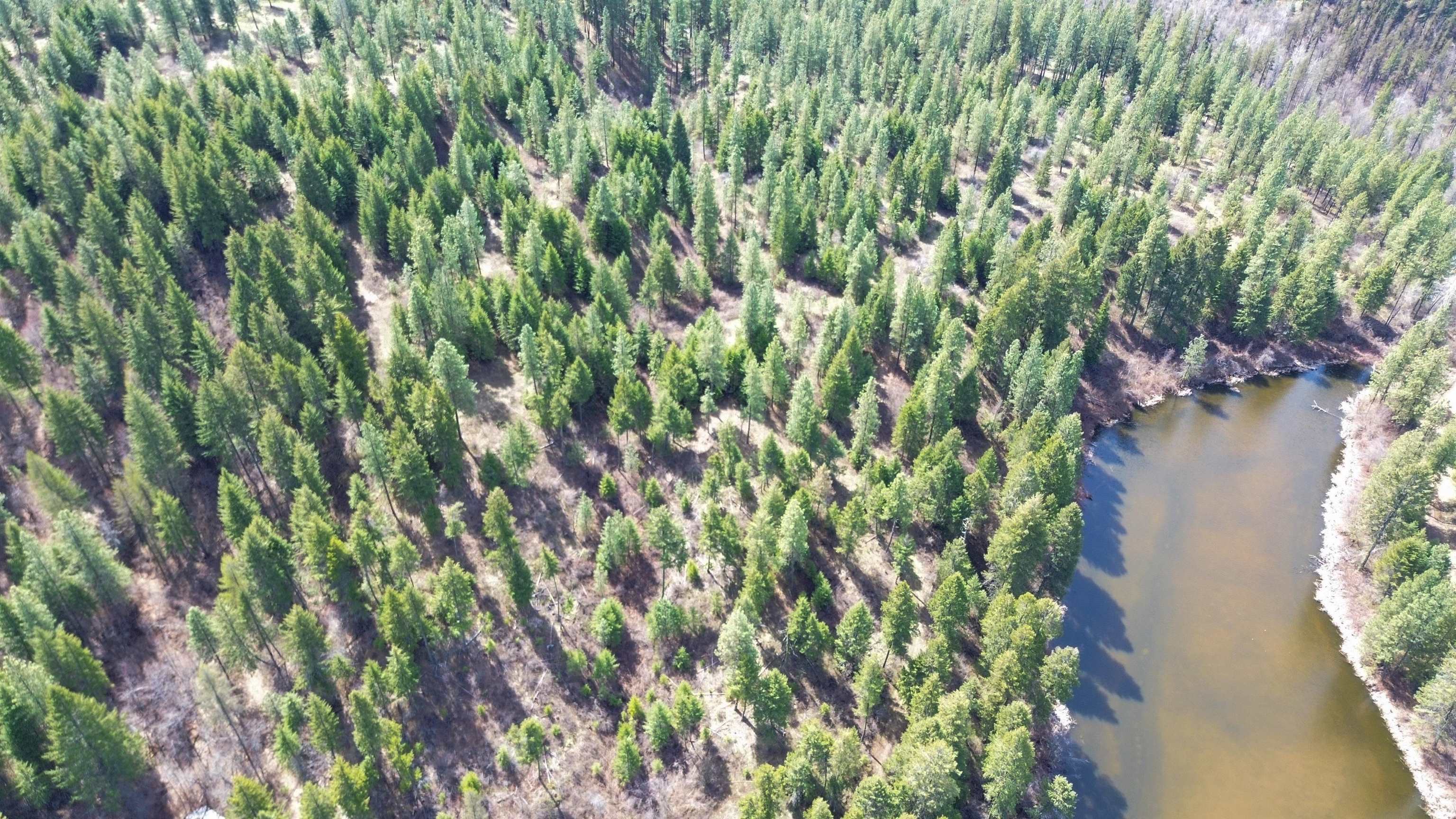 Nka Apex Road Inchelium, WA 99138 - Photo 15 of 24