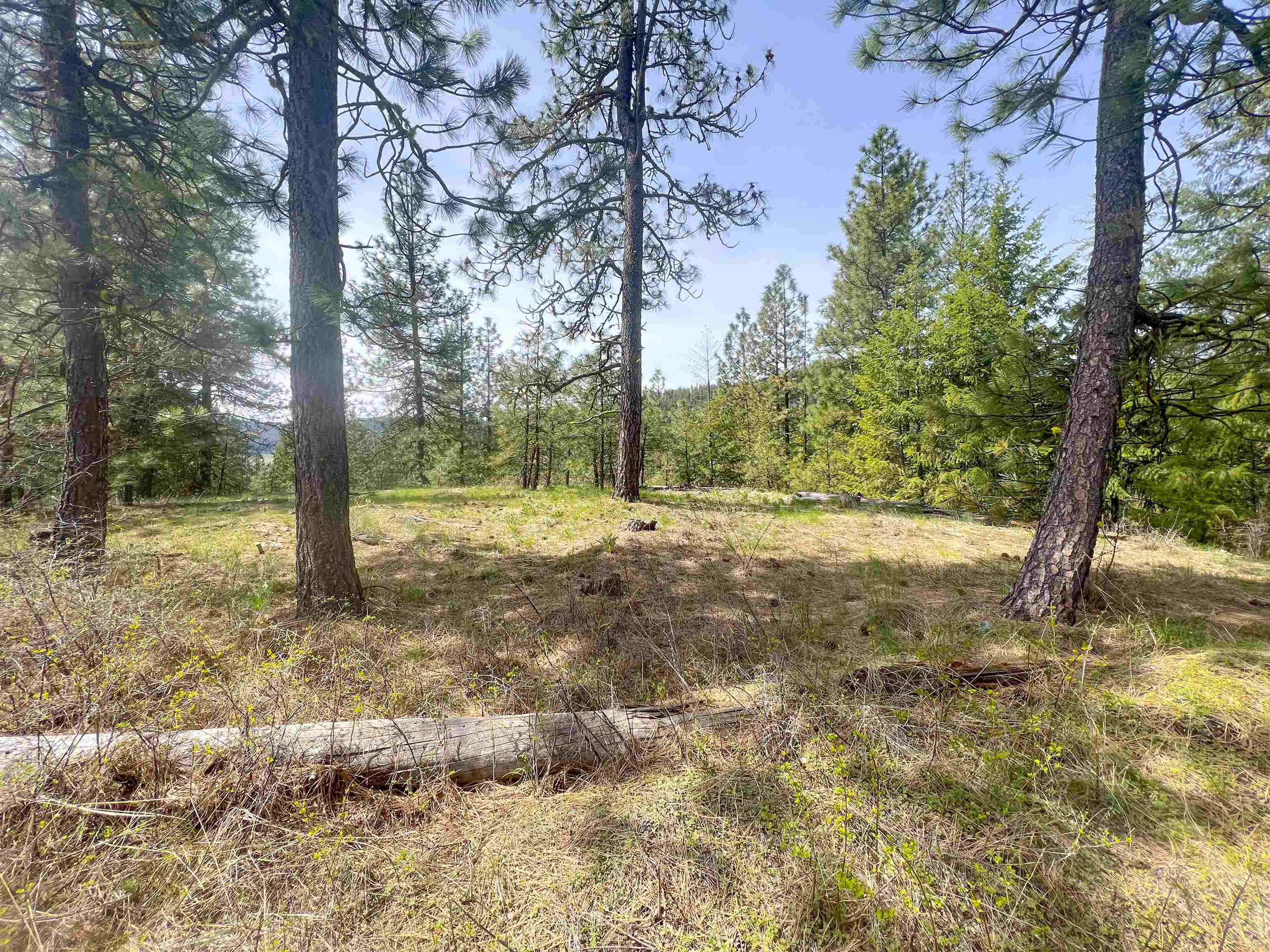 Nka Apex Road Inchelium, WA 99138 - Photo 18 of 24