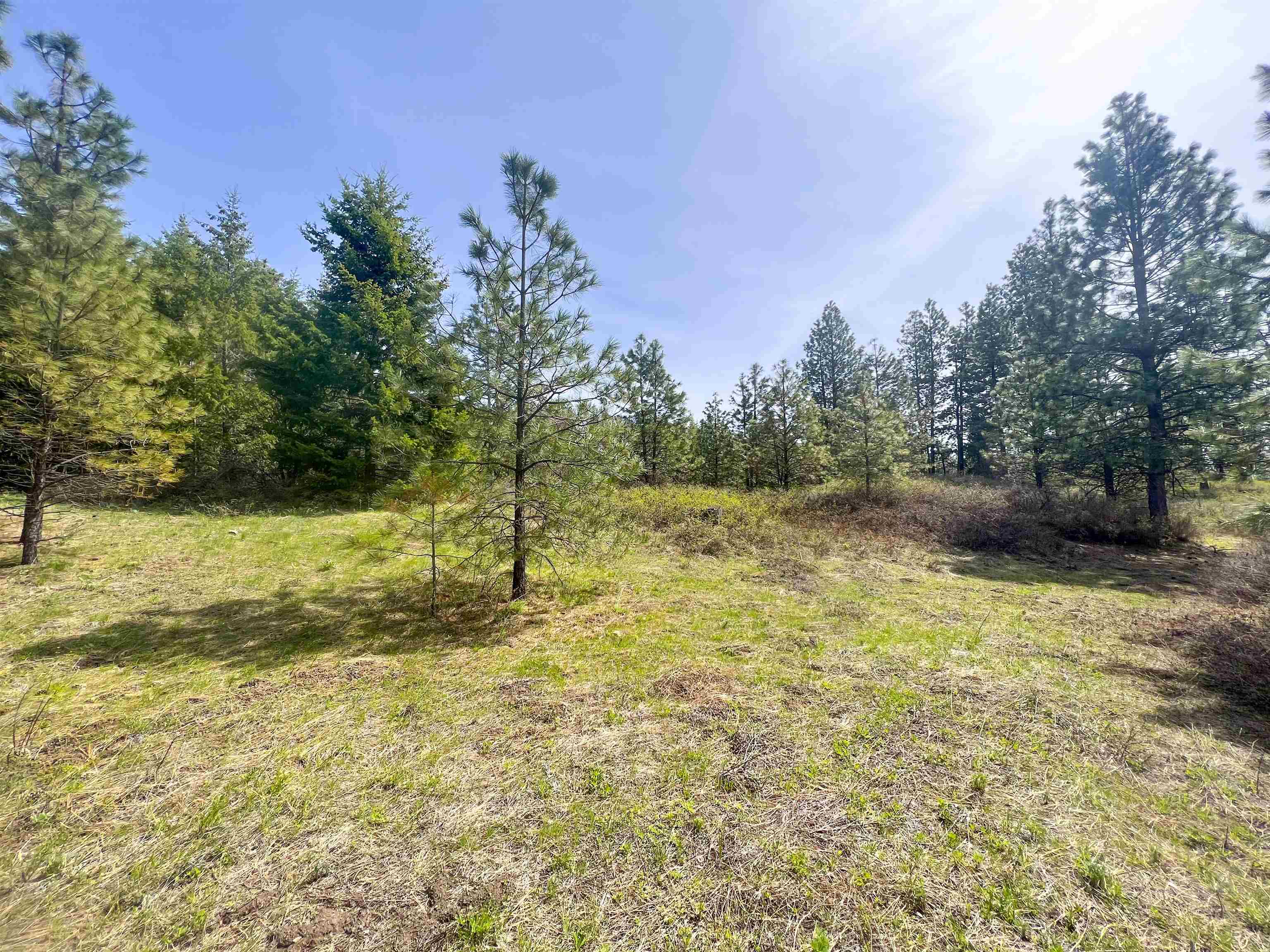 Nka Apex Road Inchelium, WA 99138 - Photo 19 of 24