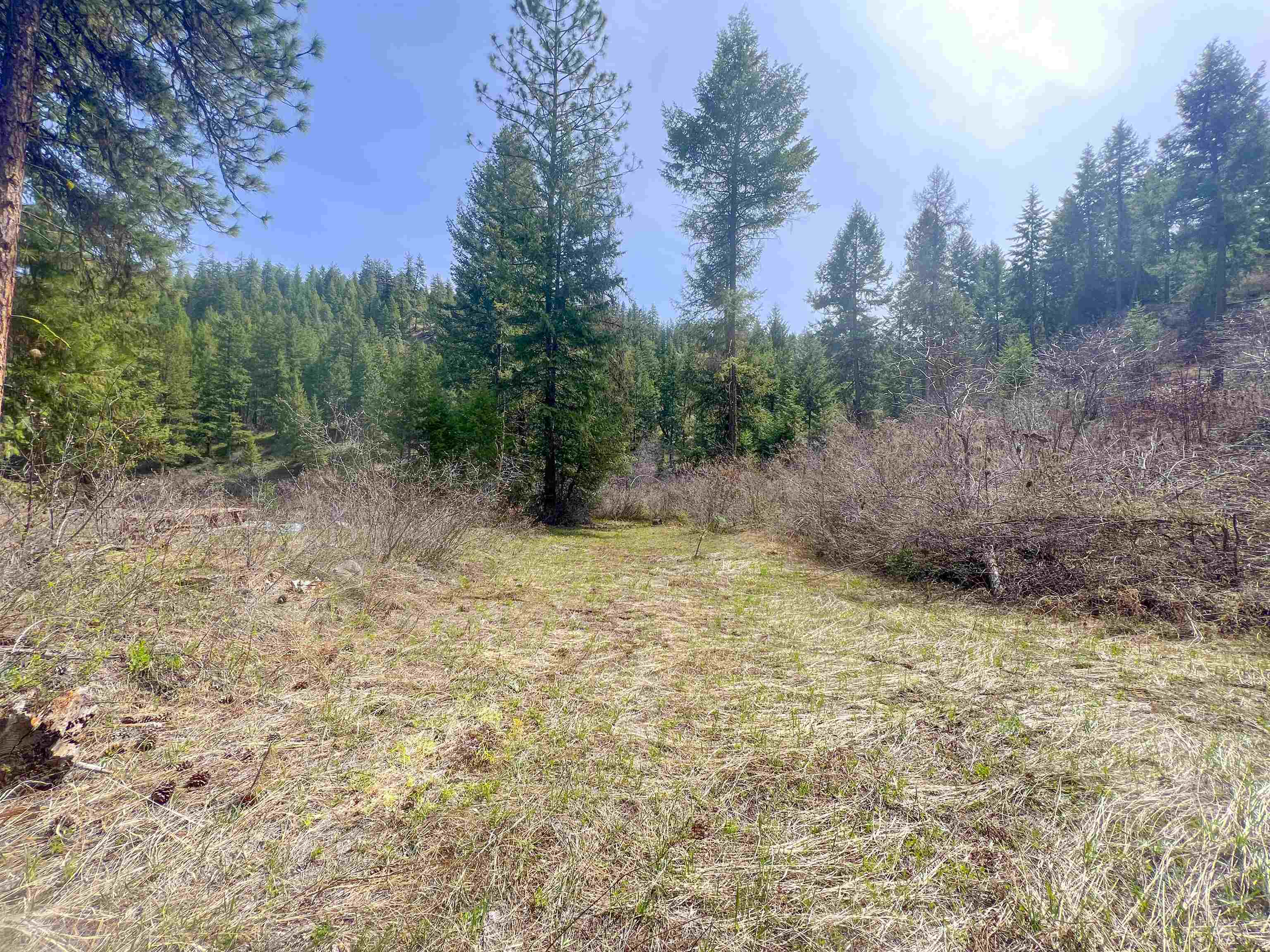 Nka Apex Road Inchelium, WA 99138 - Photo 20 of 24