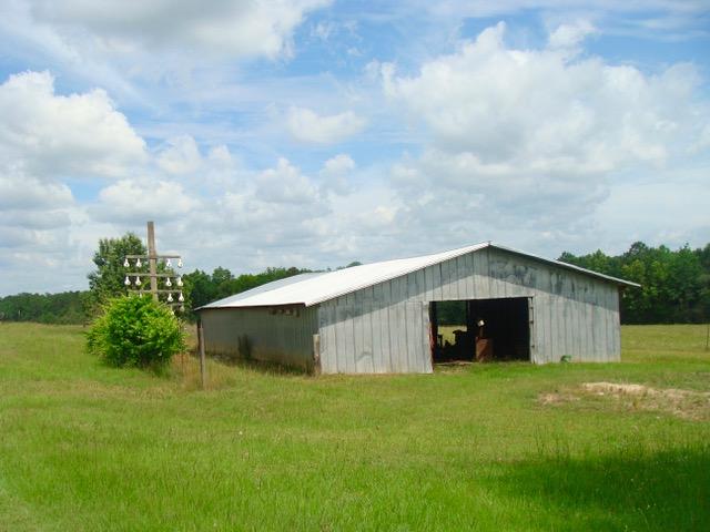 592 Mims Road DeFuniak Springs, FL 32433 - Photo 17 of 67 a view of a backyard with potted plants and large trees