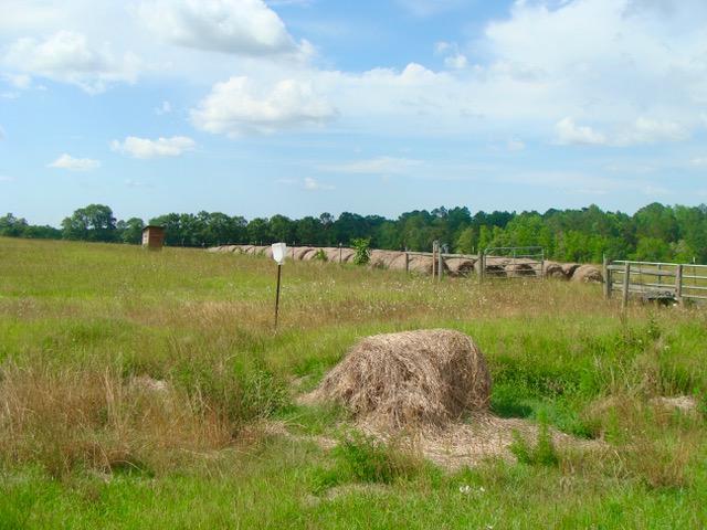 592 Mims Road DeFuniak Springs, FL 32433 - Photo 20 of 67 a view of a lake with houses in the back