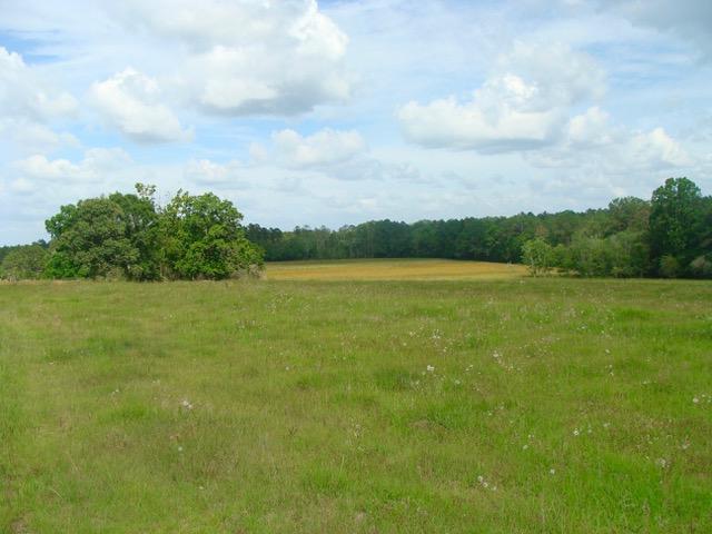 592 Mims Road DeFuniak Springs, FL 32433 - Photo 2 of 67 a view of a lake with a big yard
