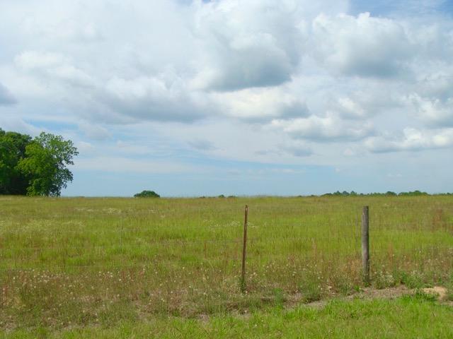 592 Mims Road DeFuniak Springs, FL 32433 - Photo 21 of 67 DSC09252