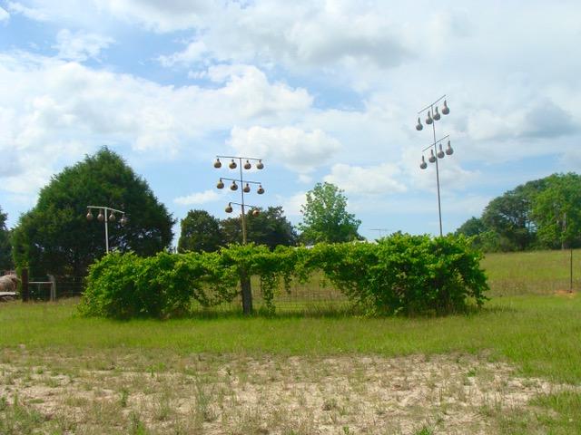 592 Mims Road DeFuniak Springs, FL 32433 - Photo 22 of 67 a view of a garden
