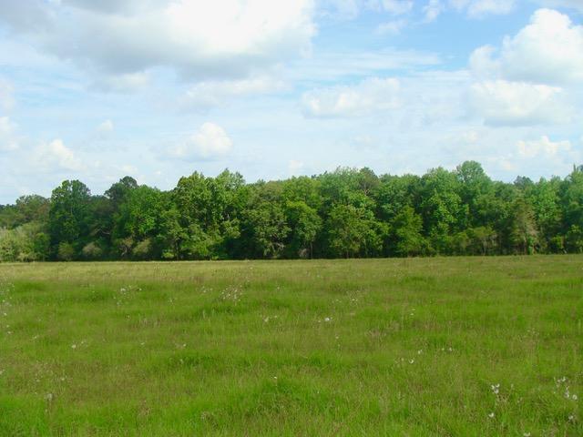 592 Mims Road DeFuniak Springs, FL 32433 - Photo 24 of 67 a view of an outdoor space and a yard