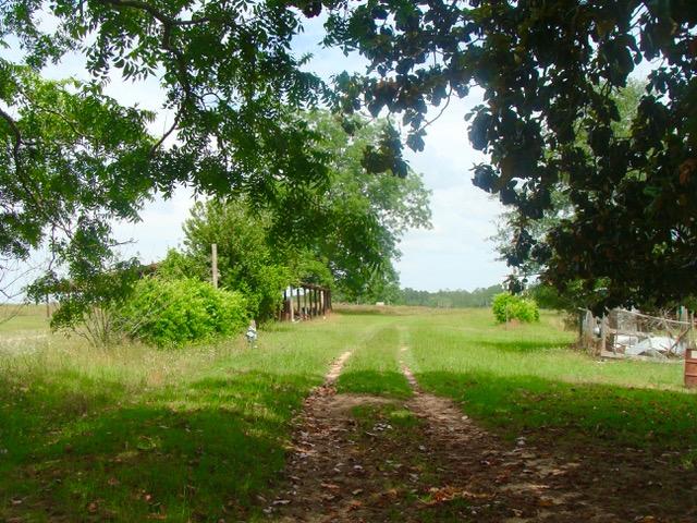 592 Mims Road DeFuniak Springs, FL 32433 - Photo 33 of 67 a view of yard with green space
