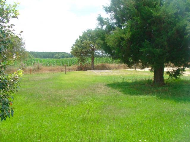 592 Mims Road DeFuniak Springs, FL 32433 - Photo 49 of 67 a view of outdoor space with green field and trees