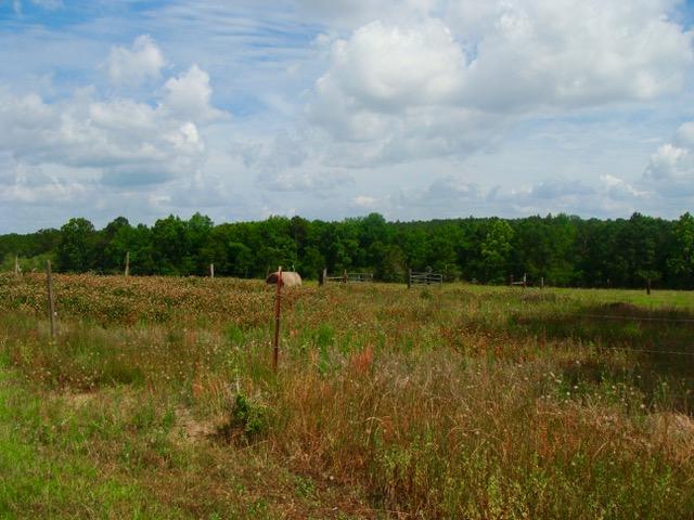 592 Mims Road DeFuniak Springs, FL 32433 - Photo 54 of 67 a view of a garden