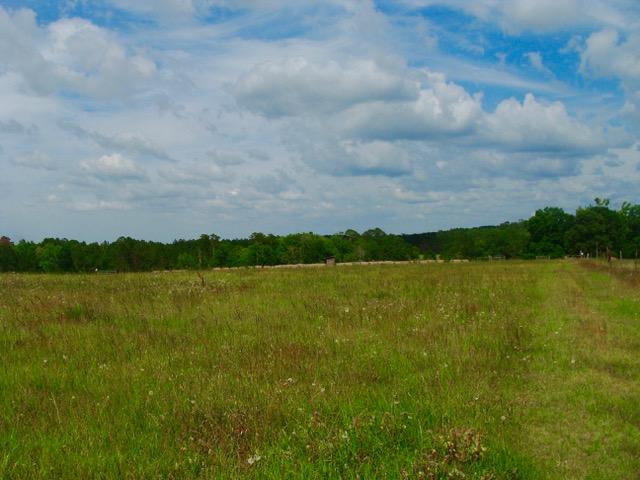 592 Mims Road DeFuniak Springs, FL 32433 - Photo 55 of 67 a view of lake with mountain