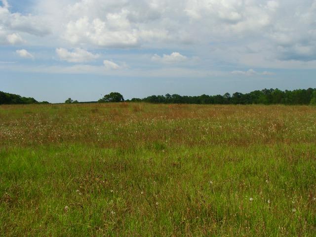 592 Mims Road DeFuniak Springs, FL 32433 - Photo 56 of 67 DSC09258