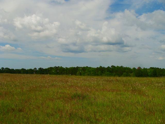 592 Mims Road DeFuniak Springs, FL 32433 - Photo 58 of 67 a view of a lake with houses in the back
