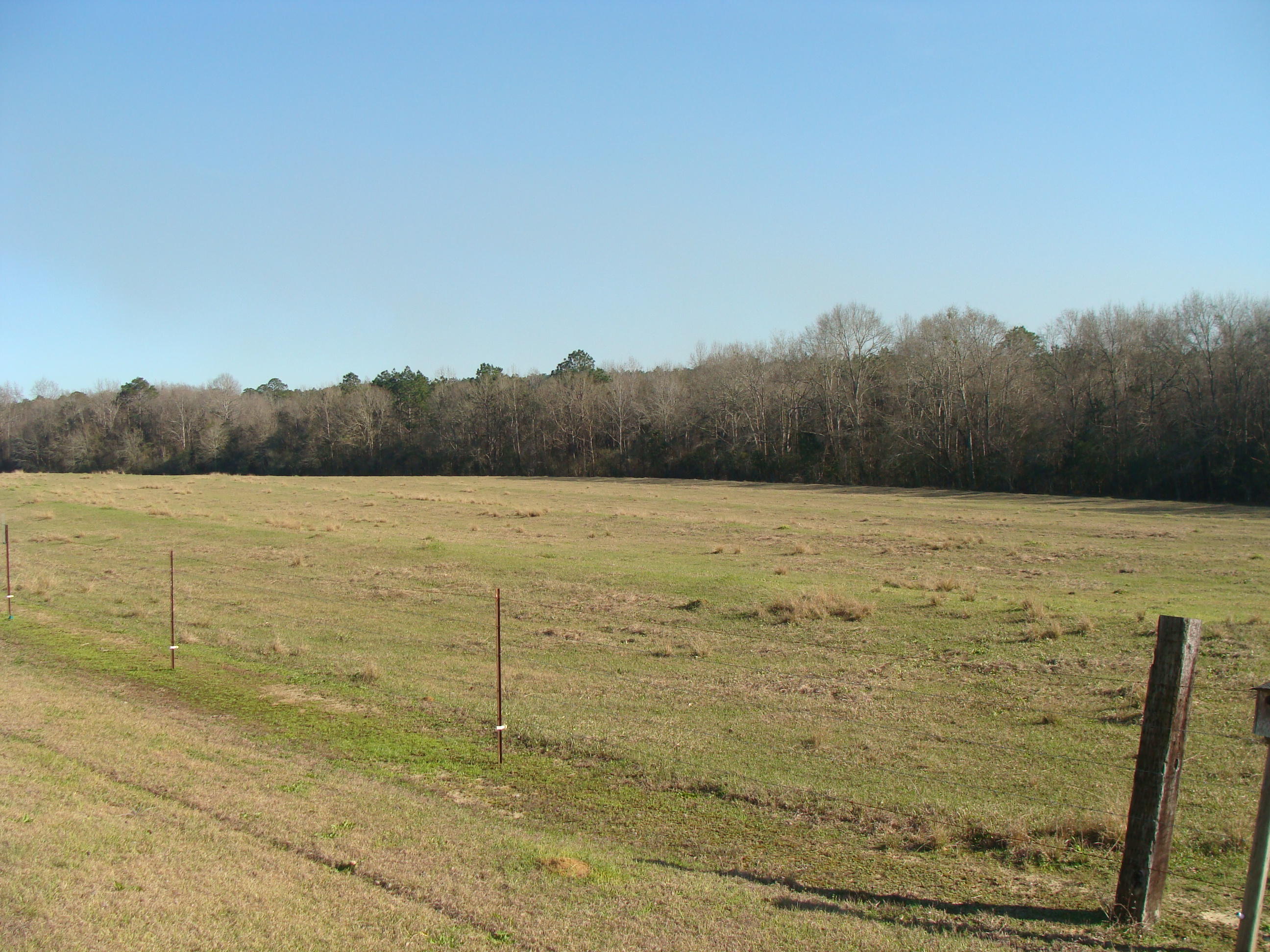 592 Mims Road DeFuniak Springs, FL 32433 - Photo 62 of 67 DSC09000