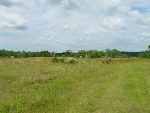 592 Mims Road DeFuniak Springs, FL 32433 - Photo 66 of 67 a view of a lake with houses in the background