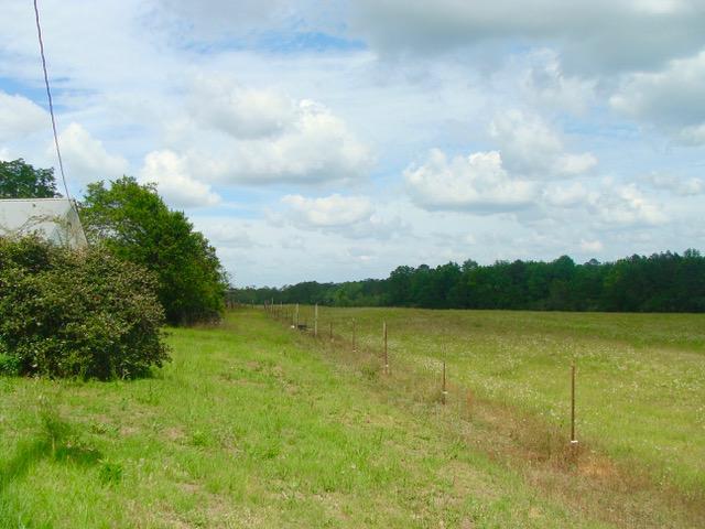 592 Mims Road DeFuniak Springs, FL 32433 - Photo 9 of 67 a view of an ocean and beach