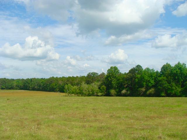 592 Mims Road DeFuniak Springs, FL 32433 - Photo 10 of 67 a view of a lake with houses in the background