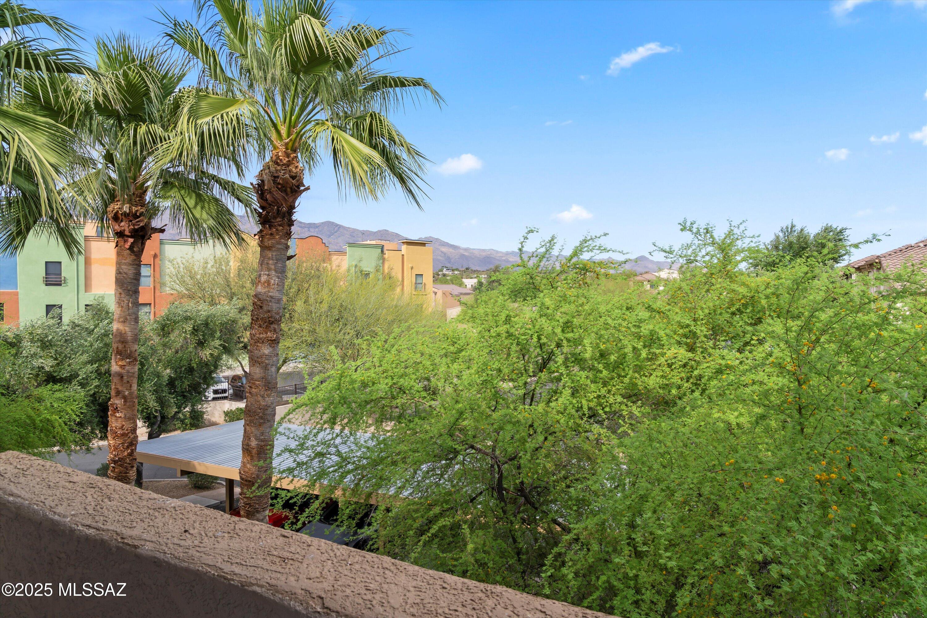 2550 East River Road, Unit 13303 Tucson, AZ 85718 - Photo 19 of 25