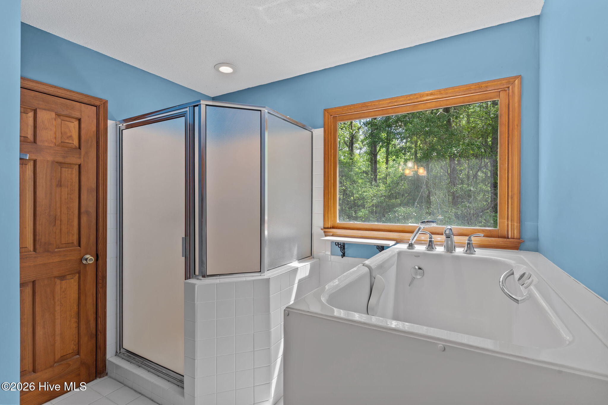 10224 Timber Ridge Court Southeast Leland, NC 28451 - Photo 28 of 55 29-web-or-mls-DSC03530