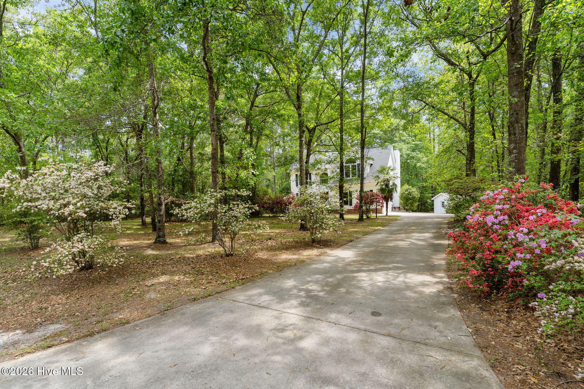 10224 Timber Ridge Court Southeast Leland, NC 28451 - Photo 4 of 55 54-web-or-mls-DSC03611