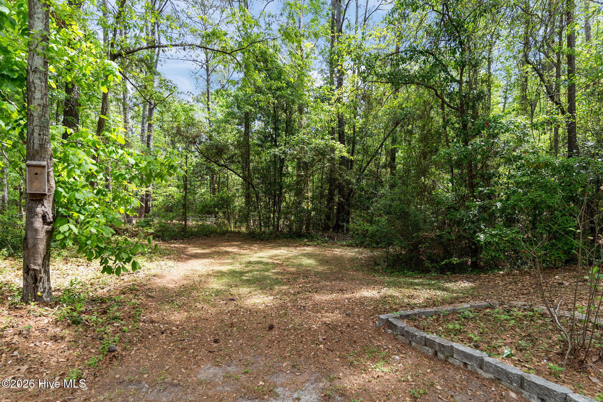 10224 Timber Ridge Court Southeast Leland, NC 28451 - Photo 44 of 55 45-web-or-mls-DSC03587