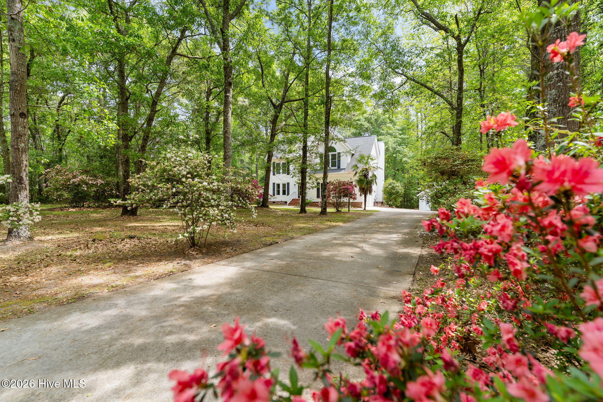10224 Timber Ridge Court Southeast Leland, NC 28451 - Photo 5 of 55 55-web-or-mls-DSC03613