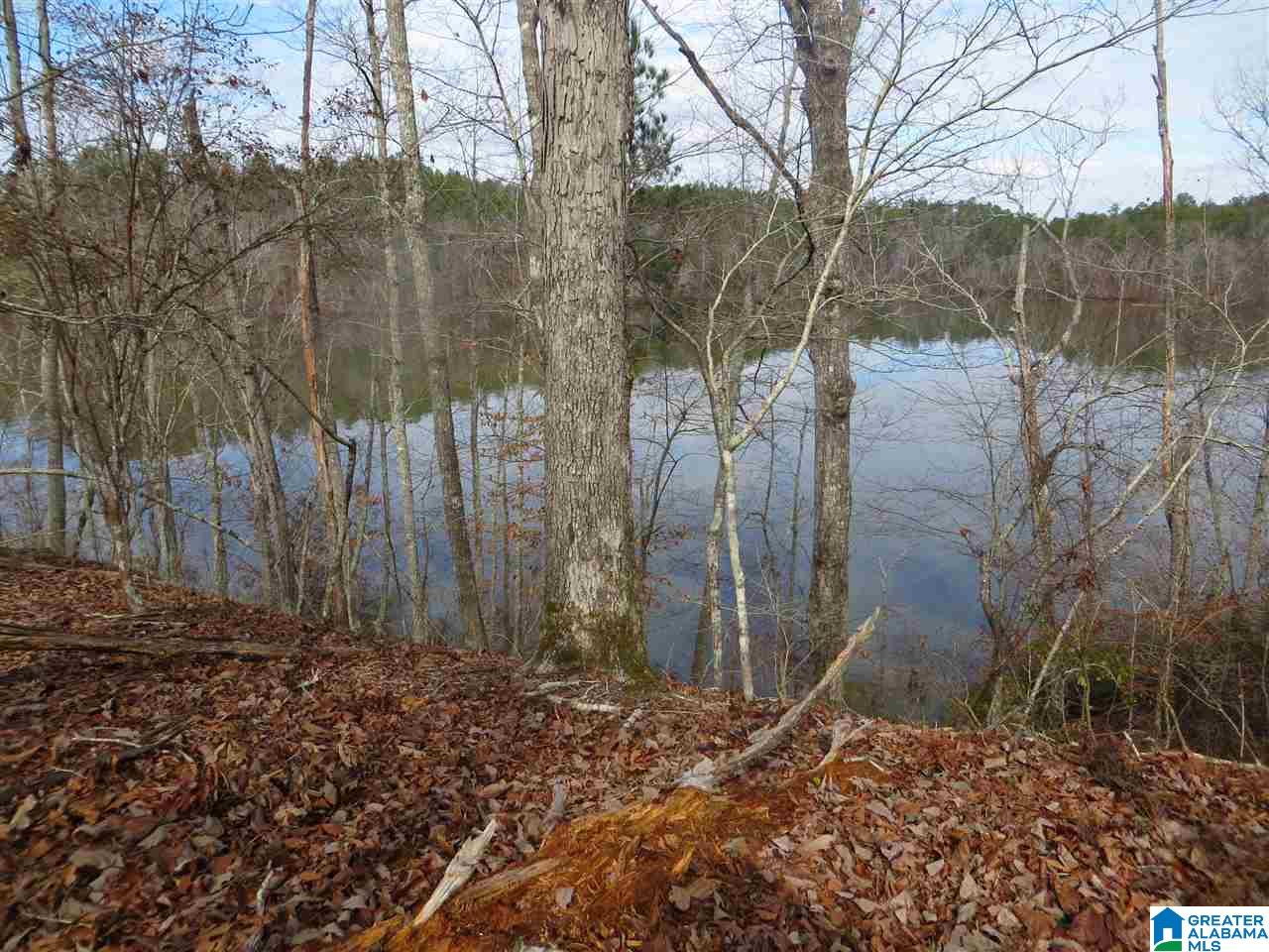 Lot 7 Eagle Mountain Road, Unit 7 Alexander City, AL 35010 - Photo 6 of 7