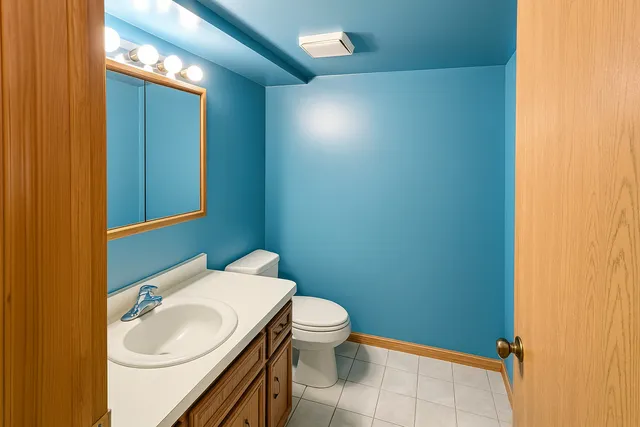 a bathroom with a sink a toilet and vanity