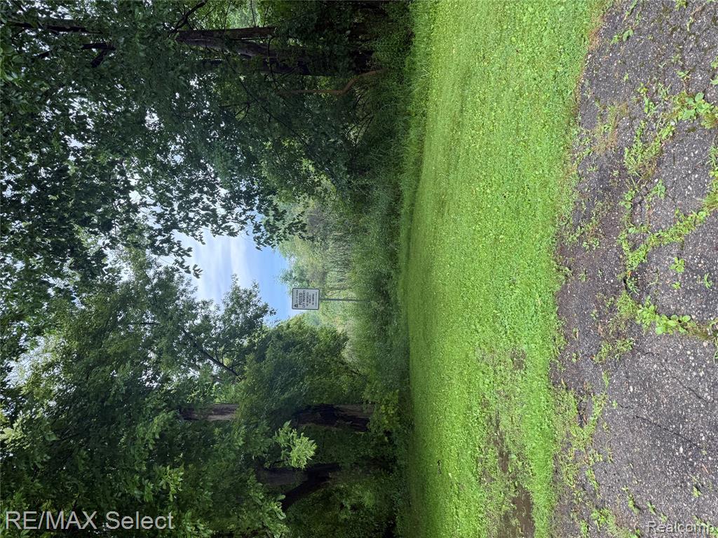 0 West Caroline Street Fenton, MI 48430 - Photo 4 of 6