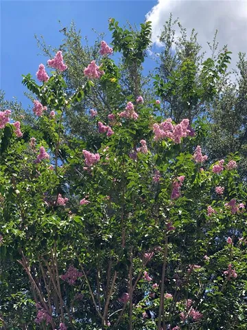 $639,000 | 15207 17th Avenue East, Bradenton, FL 34212