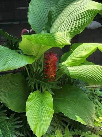 $639,000 | 15207 17th Avenue East, Bradenton, FL 34212