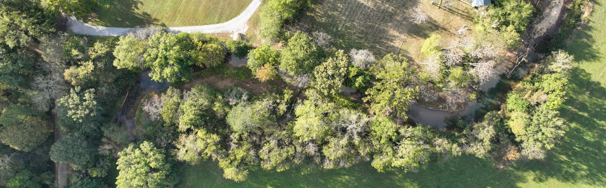 2885 Bailey Cobb Road Palmyra, TN 37142 - Photo 66 of 70 Gallery Image 66