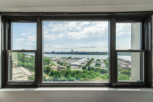 a view of a garden from a window