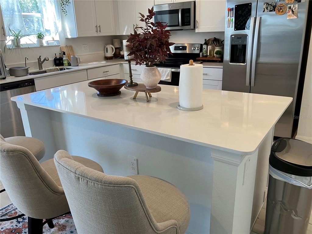 13259 Palmerston Road Riverview, FL 33579 - Photo 20 of 51