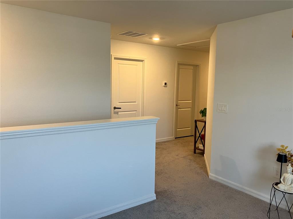 13259 Palmerston Road Riverview, FL 33579 - Photo 27 of 51