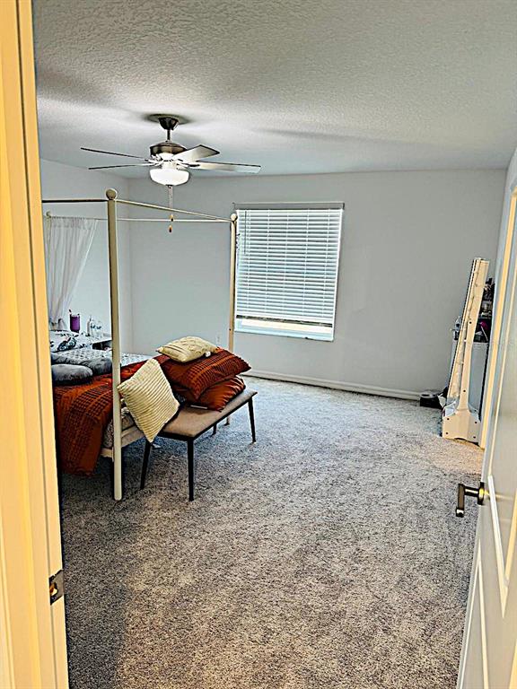 13259 Palmerston Road Riverview, FL 33579 - Photo 28 of 51