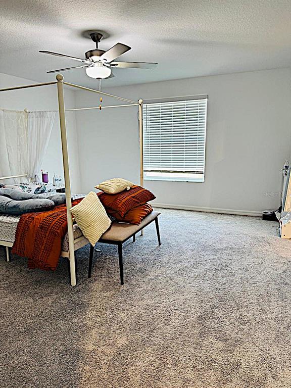 13259 Palmerston Road Riverview, FL 33579 - Photo 30 of 51