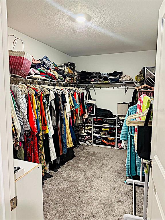 13259 Palmerston Road Riverview, FL 33579 - Photo 31 of 51