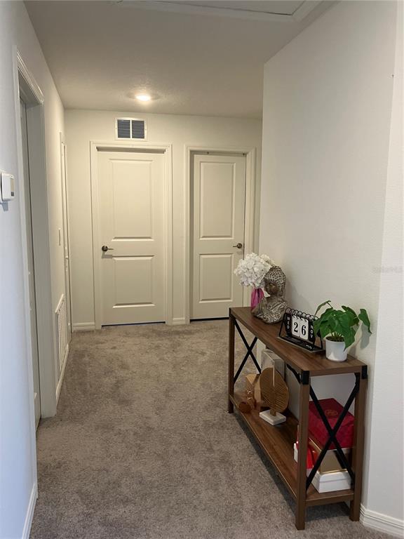 13259 Palmerston Road Riverview, FL 33579 - Photo 36 of 51