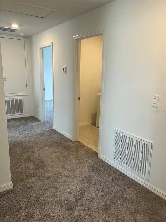 13259 Palmerston Road Riverview, FL 33579 - Photo 37 of 59