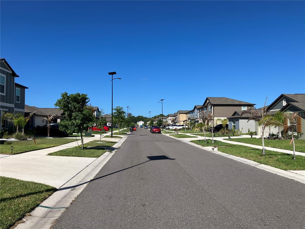 13259 Palmerston Road Riverview, FL 33579 - Photo 49 of 51