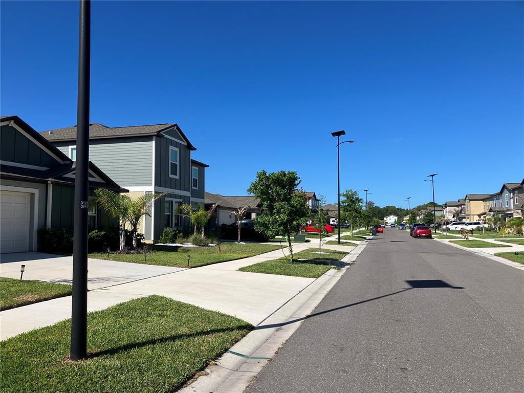 13259 Palmerston Road Riverview, FL 33579 - Photo 59 of 59 a view of a street with houses on the side of it