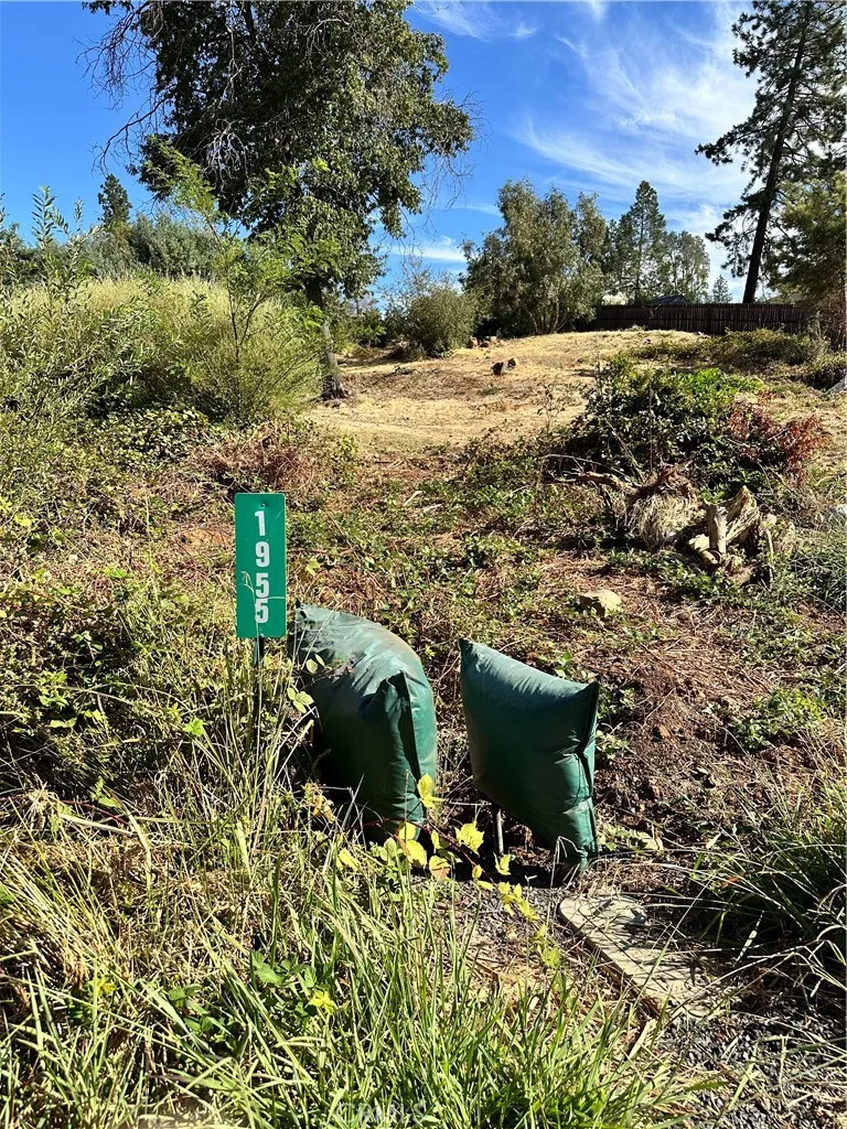 1955 Golf Paradise, CA 95969 - Photo 1 of 2 a view of a garden with lawn chairs