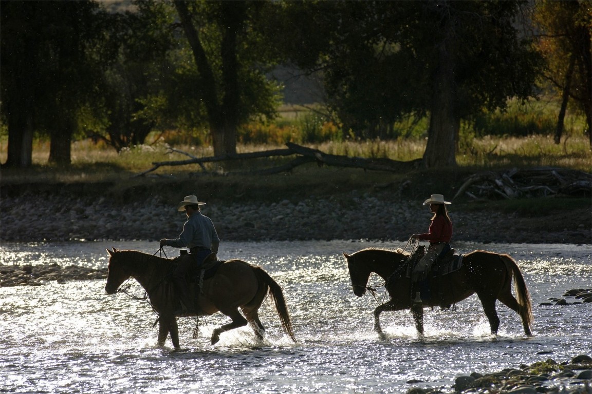 27200 Fire Song Road Steamboat Springs, CO 80487 - Photo 28 of 30 a backyard of a house with table and chairs