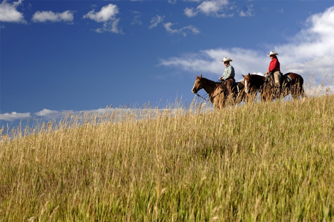 27200 Fire Song Road Steamboat Springs, CO 80487 - Photo 29 of 30 a view of electric room