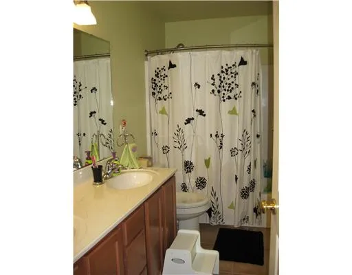 a bathroom with a sink a toilet and shower curtain