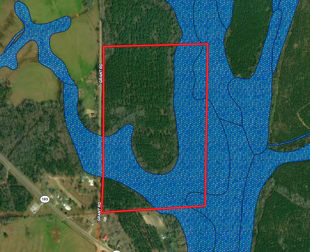 Undisclosed Address Slocomb, AL 36375 - Photo 21 of 23
