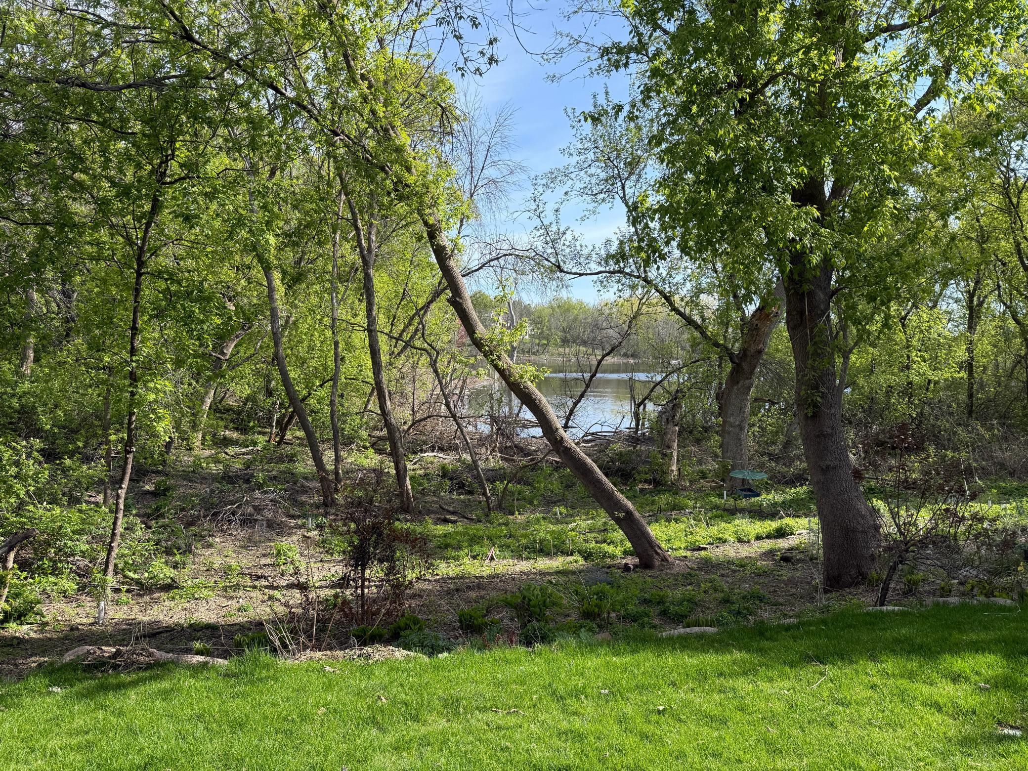 15595 Cherry Path Rosemount, MN 55068 - Photo 56 of 81