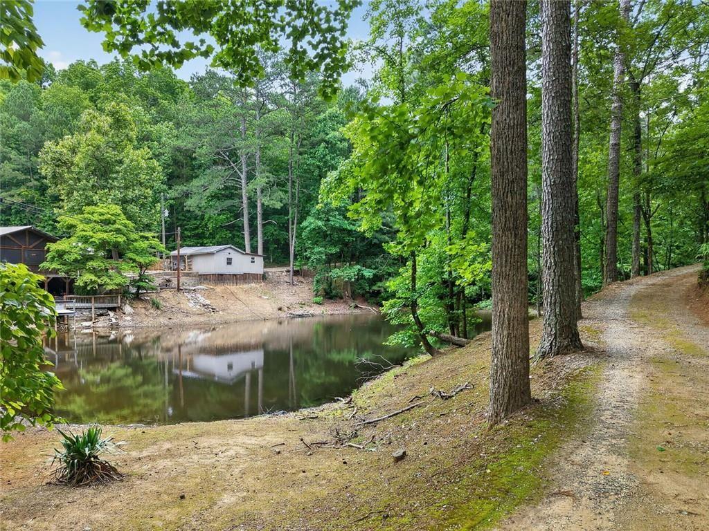 105 Whitestone Road Talking Rock, GA 30175 - Photo 6 of 94